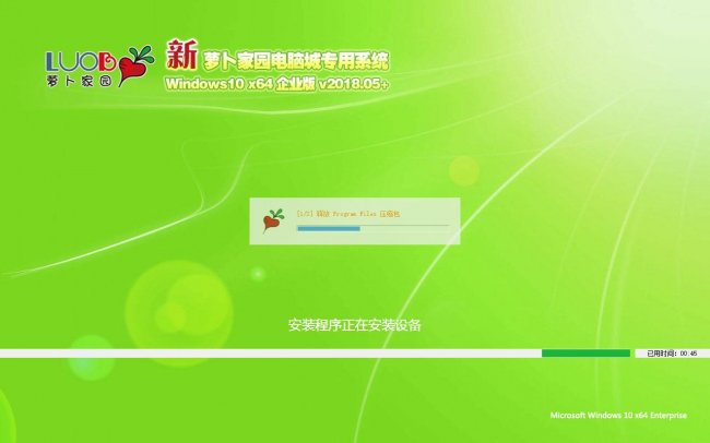 新萝卜家园电脑城专用系统 Windows10 x64 企业版v2018.05+(64位)