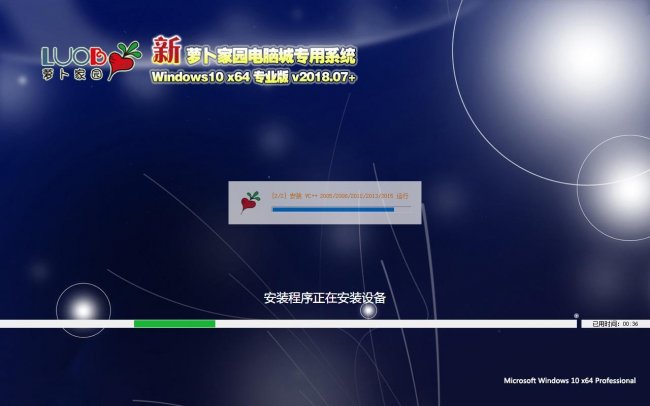 新萝卜家园电脑城专用系统 Windows10 x64 企业版v2018.07+(64位)